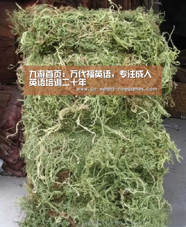 九游首页:万代福英语,专注成人英语培训二十年(图1) 九游网页版