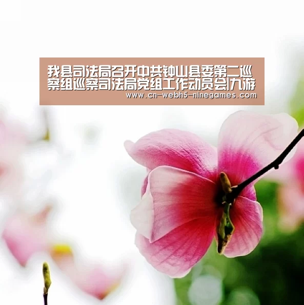 我县司法局召开中共钟山县委第二巡察组巡察司法局党组工作动员会|九游在线(图3) 九游官方网站