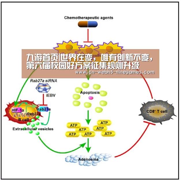 九游首页|世界在变,唯有创新不变,第六届校园好方案征集规则升级(图2) 九游官方网站